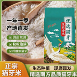 江北宸猫牙米新米现磨南方农家原生态早稻长粒香米粘米清香软糯丝苗大米 【原生态】当季鲜稻(5斤)