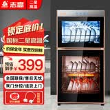 志高（CHIGO）消毒柜家用立式高温消毒柜商用厨房消毒碗柜大容量碗筷餐具茶杯消毒柜双门分控消毒机器 二星级 70L 双门（上1层下2层）
