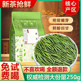 匠界雀舌新茶贵州雀舌茶叶绿茶头采正宗明前毛尖嫩芽250g