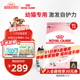 皇家幼猫猫粮 幼猫奶糕 K36 通用粮 4-12月 4.5KG