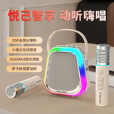 联想（Lenovo）生态品牌异能者K歌麦克风音响小度语音智能互动一体机无线话筒唱歌神器女神节礼物家用K歌带麦克风