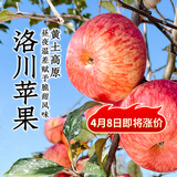 东方甄选洛川苹果水果新鲜当季整箱时令生鲜脆甜多汁4斤-8.5装 4斤 （特小果 150g+ 11-14个）