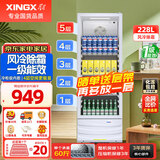 星星（XINGX）展示柜冷藏保鲜柜 风冷除霜饮料柜单门立式冰柜直冷冰箱商用食品留样超市便利店蔬菜水果啤酒水柜 风冷除霜 1级能效228升LSC-235C