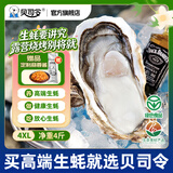 贝司令鲜活乳山生态生蚝4XL 净重4斤 8-11只 生鲜源头直发露营聚会