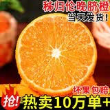 果当爱正宗湖北秭归伦晚脐橙【多地隔日达】时令水果新鲜大橙子水果礼盒 10斤【橙香四溢|新鲜现摘】生态果|70-90mm净重9斤