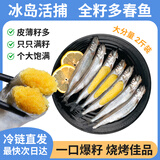 纯色本味冷冻冰岛全籽多春鱼 净重2斤 满籽 烧烤 生鲜 鱼籽 鱼干