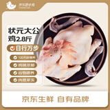 京东跑步鸡状元大公鸡 2.8斤 120天黑脚土公鸡莫氏鸡煲同款食材