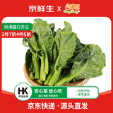 京鲜生供港霜打芥兰300g芥蓝 新鲜采摘炒菜火锅食材 广东源头直发