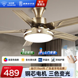 钻石牌（DIAMOND）风扇灯吊扇灯led客厅带灯吊扇北欧现代简约变频电风扇三色变光YY [DC变频]52寸吊杆五叶遥控-1级能效/加强风