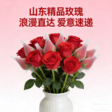 红玫瑰真鲜花束苞粉色戴安娜批直发水养速递云南山东基地鲜切插花 红玫瑰10支防损