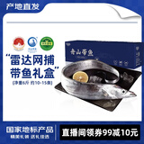 海鼎纪舟山带鱼礼盒6斤 礼盒 4-6两/条 10-15条 生鲜 源头直发 年货节