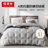 恒源祥A类波兰进口羽绒被子 双人抗菌加厚加大保暖冬被6.2斤 220*240cm