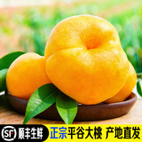 禾人平谷桃 平谷大桃鲜桃礼盒 北京平谷桃礼盒 生鲜水果 黄油蟠桃5斤+【特级礼盒装】