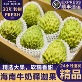 觅百果【顺丰】海南牛奶凤梨释迦果当季新鲜热带水果超甜番荔枝佛头果 牛奶释迦3斤中果【约6-7个】