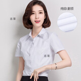 途尊（kingtrip） 工作服正装码衬衣女装ol韩棉春秋白衬衫女长袖职业夏季V修身 F11纯白翻领 XL/125