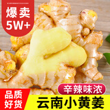 中鲜生 云南小黄姜 现挖生姜 新姜月子姜 新鲜蔬菜生鲜 云南小黄姜9斤【净重】品质老姜