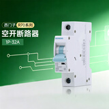 西门子（SIEMENS）新款R70断路器空气开关 家用1P标准型空气开关 单片空开1P 2P可选 新款-单极1P32A