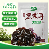 十月稻田 东北黑木耳 500g 菌菇  黑龙江东宁特产 肉厚无根 火锅煲汤炒菜