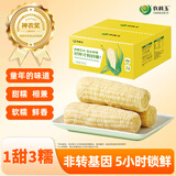 农科玉336五常甜糯玉米3.68斤230g*8根杂粮东北黏玉米棒苞米早代餐零食
