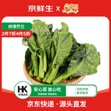 京鲜生(供港)芥兰300g  爽脆清甜新鲜采摘 广东源头直发