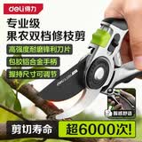 得力（deli）修剪树枝剪刀升级SK5钢花枝剪盆栽花卉果树剪园艺修枝神器
