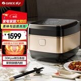 大松（TOSOT）格力电饭煲4-5人家用电饭锅4L微压力4段IH加热智能多功能煮粥煲汤带蒸屉健康发芽饭40X80C