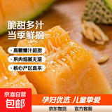 山东哈密瓜新鲜脆甜当季西州蜜蜜瓜  孕妇儿童皆宜 3-3.5斤