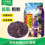 十月稻田 紫米 2斤 低脂粗粮 云南紫米 五谷杂粮米 含花青素紫糯米 紫米露