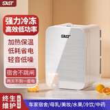 先科迷你小冰箱mini冷冻冷藏车载家用宿舍母乳办公室学生小型冰柜 星光银 车家两用 PD- 16L