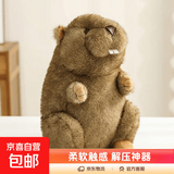 新品网红土拨鼠公仔跨境玩偶雪饼土拨鼠可爱毛绒玩具水豚生日礼物 哇叫土拨鼠 35cm(0.43