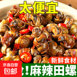 三罐青岛特产捞汁小海鲜化冻即食八爪鱼蟹钳老婆脚螃蟹脚田螺海鲜 麻辣田螺500g*3袋