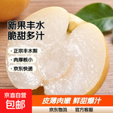 【沐驰同款】正宗新鲜丰水梨冰糖脆甜薄皮非秋月梨箱装