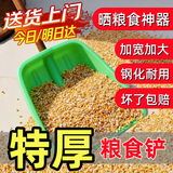 京锴塑料锹除雪铲推雪板农用晒粮钢化塑料锨养殖环卫垃圾清洁钢化大号