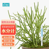 匠心绽放 SUSTEE水分计土壤水分计植物湿度计土壤检测仪缺水提醒仪水分计 养花种菜懒人浇水 白色M号