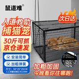 鼠道难全自动捕猫笼捉猫捕鼠神器逮猫人道救助流浪猫笼子诱食捕器大号
