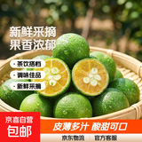 海南青金桔新鲜小金桔 5斤大果（10g-20g）