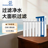 Aroma Sense淋浴花洒过滤棉配件过滤除氯净水滤芯阻垢活性炭碳盒 AS-PRC过滤棉（6支）