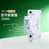 西门子（SIEMENS）新款R70断路器空气开关 家用1P标准型空气开关 单片空开1P 2P可选 新款-单极1P40A