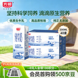 光明纯牛奶200ml*24盒*2箱优质乳蛋白早餐奶营养奶家庭分享装送礼