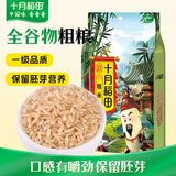 十月稻田 糙米 2斤 低脂粗粮 杂粮米新米 保留胚芽 粥米 全谷物