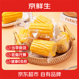 京鲜生 云南水果玉米段净重2斤 甜玉米段开袋即食低脂粗粮早餐 源头直发