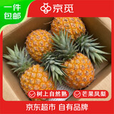 京觅芒果凤梨净重7.5-8斤单果950g起 新鲜水果 源头直发包邮