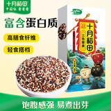 十月稻田 三色藜麦 480g 白黑红藜麦 轻食沙拉 藜麦糙米饭 杂粮 高蛋白质