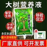 智绿树木营养液吊针液大树输液袋桂花树果树移栽生根剂激活液通用型 15袋+输液管+钻头