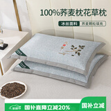 艾薇荞麦枕头夏季100%荞麦壳带冰丝枕套枕芯一个装 叶子灰 35*55cm
