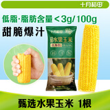 十月稻田 水果甜玉米 1根 220g 真空开袋即食 低脂早餐