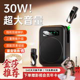 金运【爆款热销100W+丨新东方名师推荐】小蜜蜂扩音器教师专用无线领夹麦克风教学讲课导游器防啸叫M12 至尊款【磁吸充电丨无线双麦】M12轻奢黑