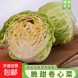 山东新鲜圆白菜卷心菜大头菜包菜甘蓝蔬菜凉拌清炒烧烤时令蔬菜 新鲜包菜2.5-3斤含箱