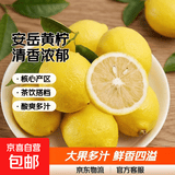 京喜加安岳黄柠檬泡水喝 新鲜水果  清香浓郁细腻 带箱5斤大果（单果150g+）