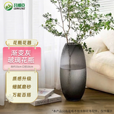 吕姆克玻璃花瓶客厅摆件灰色高款鲜花假花插花水培容器富贵竹高33cm3993